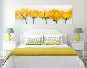Obraz piękne żółte kwiaty