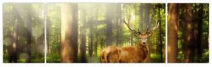 Obraz jelenia w lesie (170x50 cm)