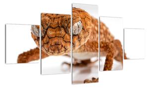 Obraz jaszczurki (125x70 cm)