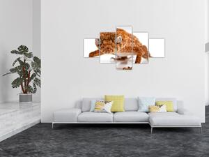 Obraz jaszczurki (125x70 cm)
