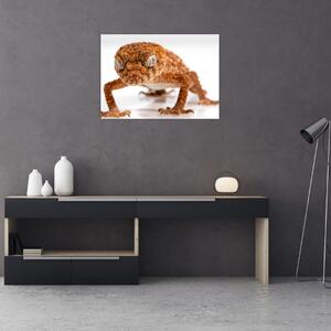 Obraz jaszczurki (70x50 cm)