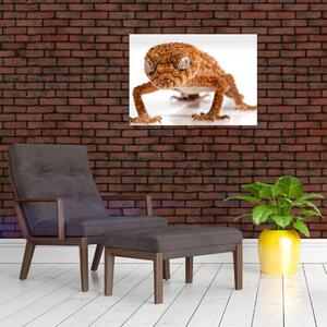 Obraz jaszczurki (70x50 cm)