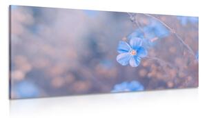 Obraz niebieskie kwiaty na tle vintage