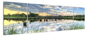 Obraz jeziora z trzcinami (170x50 cm)