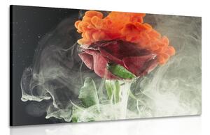 Obraz róża z elementami abstrakcyjnymi