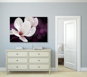 Obraz kwiat magnolii na abstrakcyjnym tle