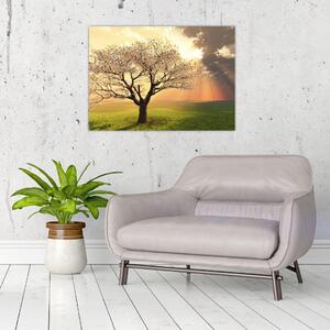 Obraz drzewa na łące (70x50 cm)