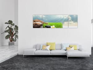 Obraz - Spa and relakx (170x50 cm)
