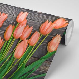 Fototapeta pomarańczowe tulipany na drewnianym tle