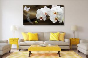 Obraz orchidea i motyl