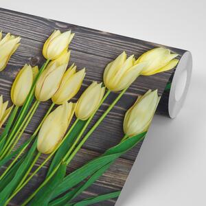 Fototapeta żółte tulipany na drewnianym tle