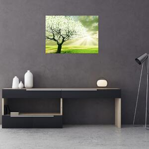 Obraz drzewa na łące (70x50 cm)