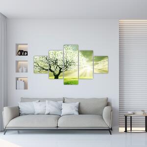 Obraz drzewa na łące (125x70 cm)