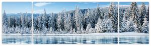 Obraz zamarzniętego jeziora i pokrytych śniegiem drzew (170x50 cm)
