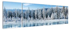 Obraz zamarzniętego jeziora i pokrytych śniegiem drzew (170x50 cm)
