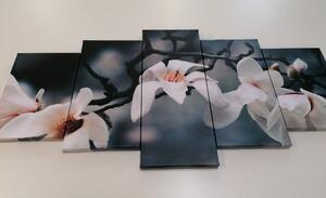 5-częściowy obraz budząca się magnolia