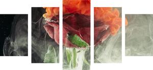 5-częściowy obraz róża z elementami abstrakcyjnymi
