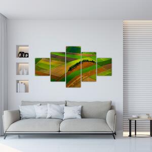 Obraz - Pola, łąki (125x70 cm)
