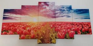 5-częściowy obraz wschód słońca nad łąką z tulipanami