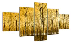 Obraz - Plantacja drzew (125x70 cm)