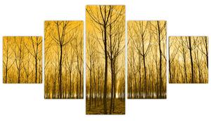 Obraz - Plantacja drzew (125x70 cm)