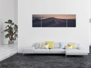Obraz - Wydmy piaskowe (170x50 cm)