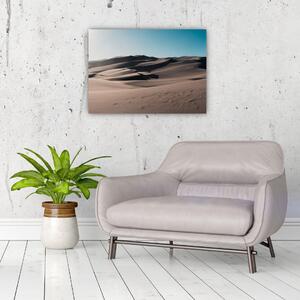 Obraz - Z pustyni (70x50 cm)