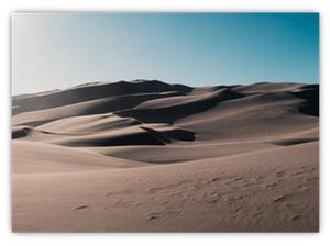 Obraz - Z pustyni (70x50 cm)