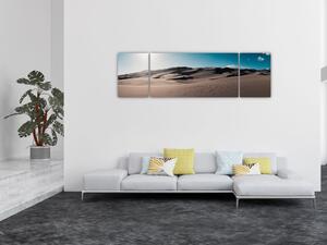 Obraz - Z pustyni (170x50 cm)