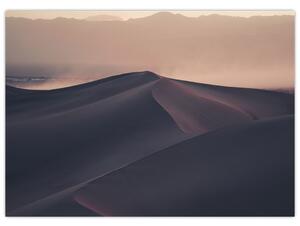 Obraz - Wydmy piaskowe (70x50 cm)