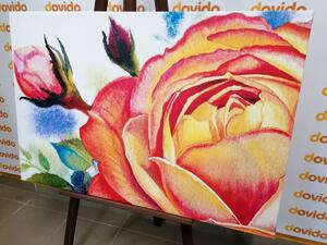 Obraz róże w odcieniach różu