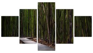 Obraz - Wśród bambusów (125x70 cm)