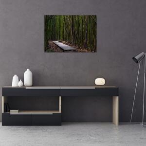 Obraz - Wśród bambusów (70x50 cm)