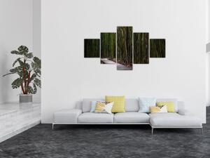 Obraz - Wśród bambusów (125x70 cm)