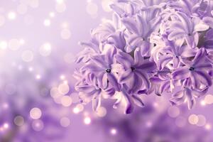 Obraz fioletowy kwiat bzu