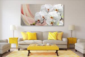 Obraz biała orchidea na płótnie