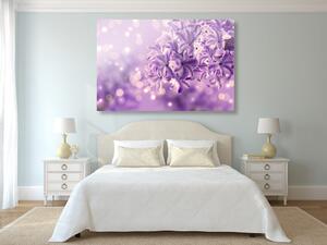 Obraz fioletowy kwiat bzu