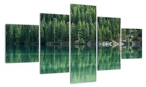 Obraz - drzewa iglaste nad jeziorem (125x70 cm)