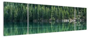 Obraz - drzewa iglaste nad jeziorem (170x50 cm)