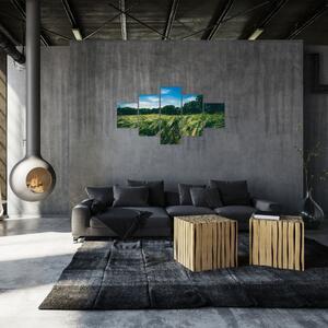 Obraz łąki i lasu (125x70 cm)
