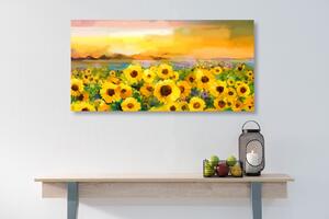 Obraz pole słoneczników