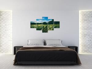 Obraz łąki i lasu (125x70 cm)