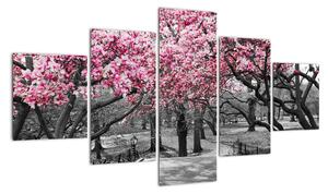 Obraz drzew magnolii (125x70 cm)