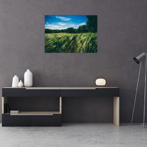 Obraz łąki i lasu (70x50 cm)