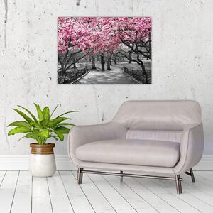 Obraz drzew magnolii (70x50 cm)