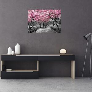 Obraz drzew magnolii (70x50 cm)