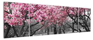 Obraz drzew magnolii (170x50 cm)