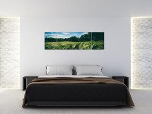Obraz łąki i lasu (170x50 cm)