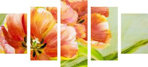5-częściowy obraz czerwone tulipany w stylu vintage
