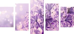 5-częściowy obraz fioletowy kwiat bzu